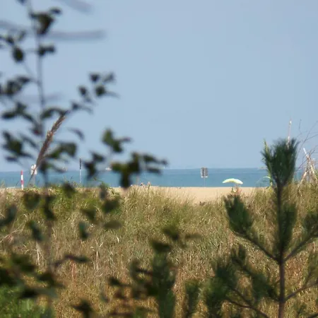 Ferienwohnung Fuer 5 Personen Ca 35 Qm In Bibione, Adriakueste Italien Und Umgebung Apartment *